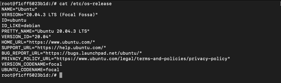 Docker Ubuntu version information returned by cat /etc/os-release