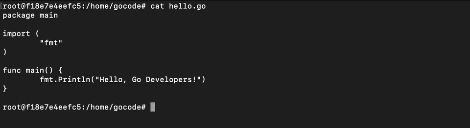 Docker cat hello-go command output